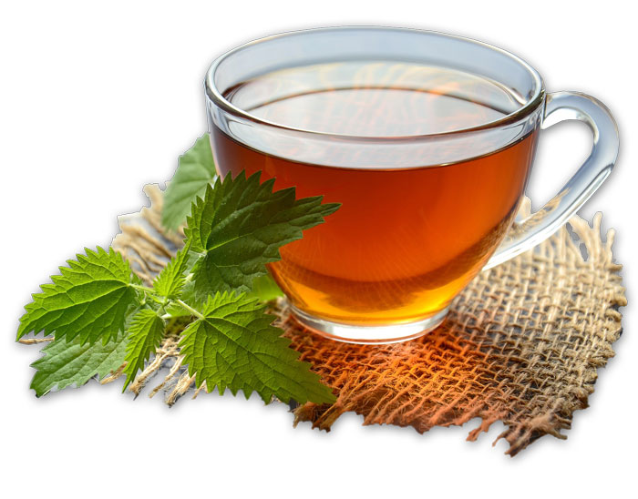 herbal-tea-cup
